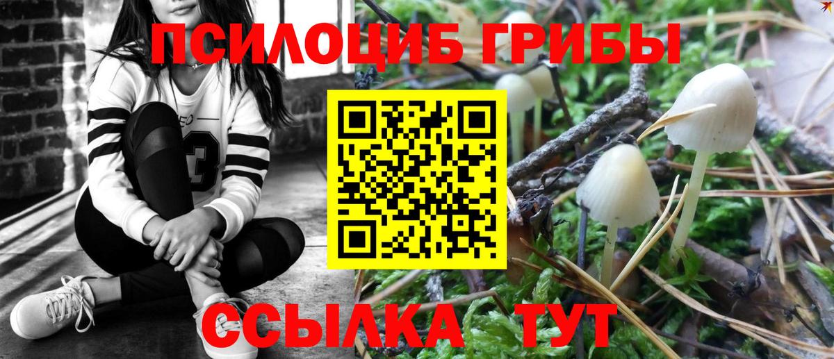 Галлюциногенные грибы MAGIC MUSHROOMS Иваново