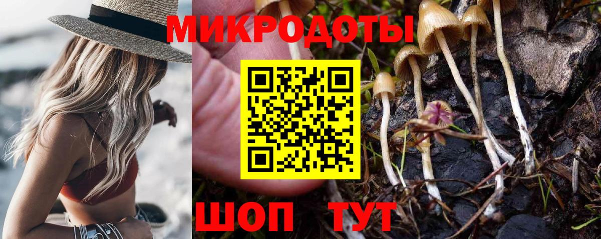 Псилоцибиновые грибы мухоморы  Вход с VPN  Иваново 